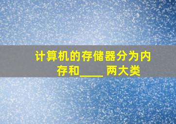 计算机的存储器分为内存和____ 两大类